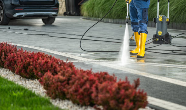 Best Gutter Cleaning and Brightening in Larchmont, NY